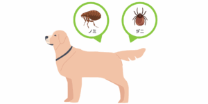 <img src="4.png" alt="犬のイラストとともに、ノミとダニのイラストが吹き出しで表示されている画像。犬に寄生する害虫としてノミとダニへの注意を促している。" />