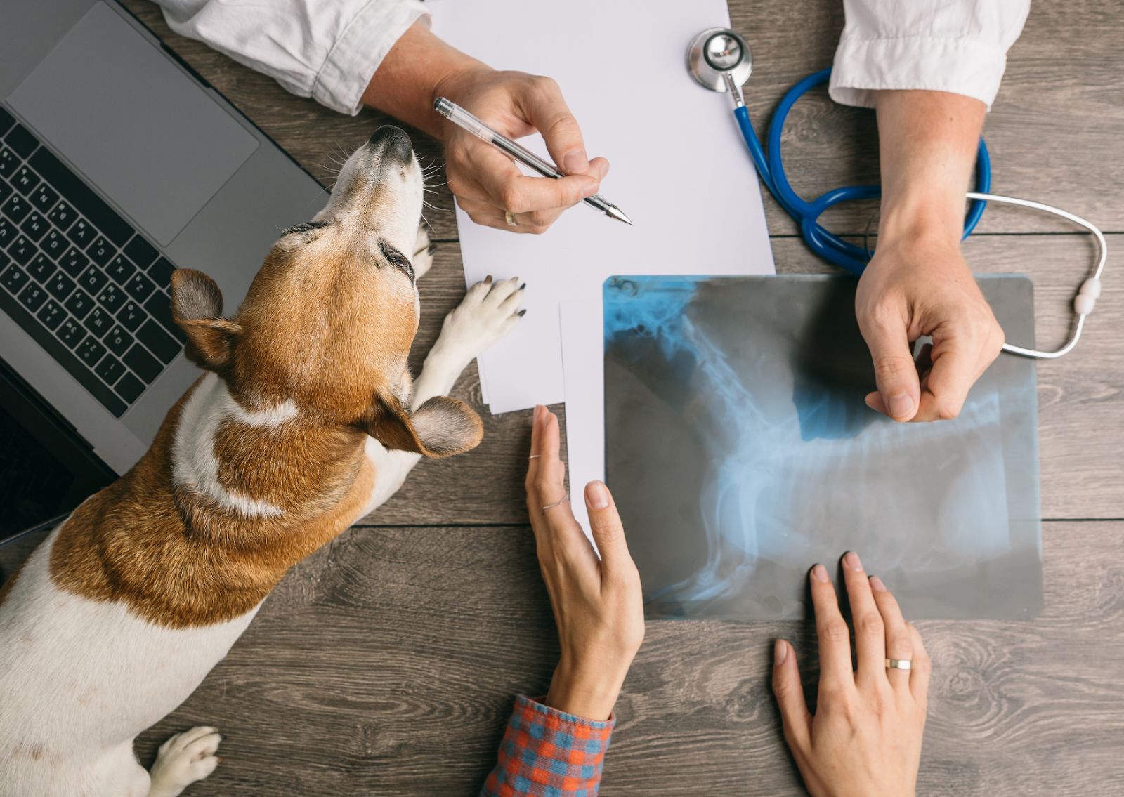 セカンドオピニオンとは何ですか?